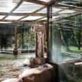 The Ultimate Guide to Luxurious Spa Packages in Buffalo, NY